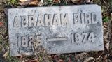 Abraham Bird