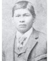 Adam Hawk