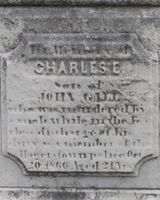 Charles E. Gall