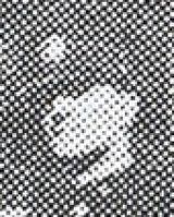 Thomas E. Dameron