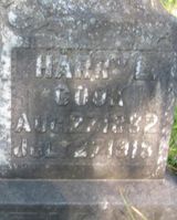 Harry L. Cook
