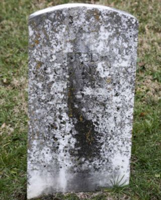 Fred McClanahan