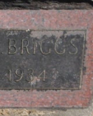 Herbert L. Briggs