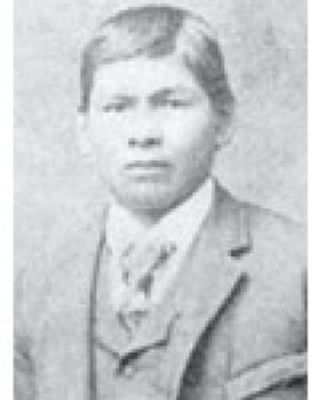 Adam Hawk