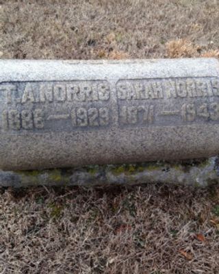 Thaddeus Alonzo Norris