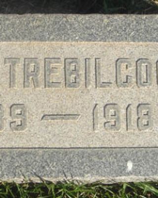 Lester Earl Trebilcock