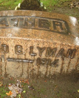 David G. Lyman