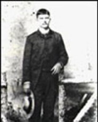 Murrettus McGregor