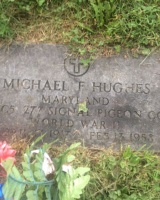 Michael Francis Hughes