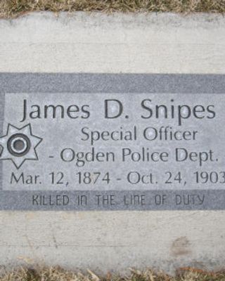 James David Snipes