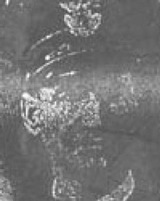Robert L. Burden