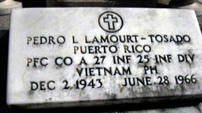 Pedro L Lamourt-Tosado