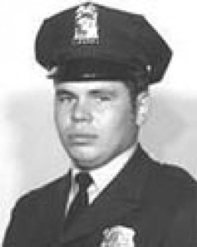David Harry Rose