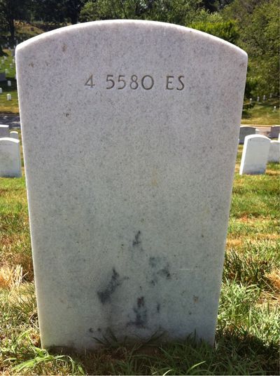 Headstone Back of John Mccann. Arlington National Cemetery.