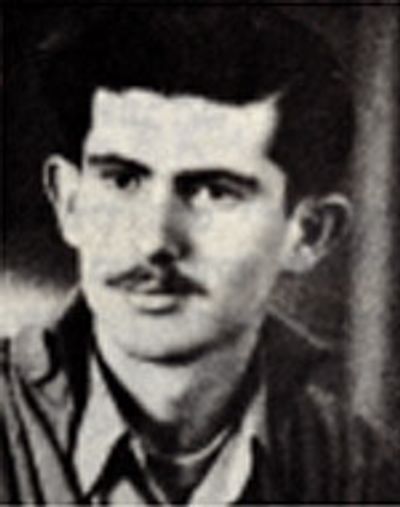 Tzvi Lanchner Avivi