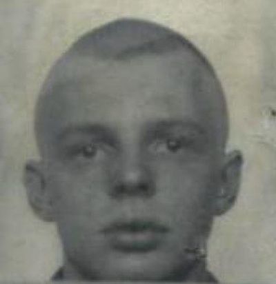 Armand Ervin Ristinen