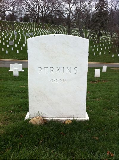 Headstone Back of Lewis Perkins. Arlington National Cemetery.