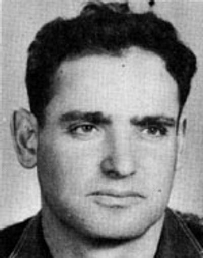 Rami Vlad