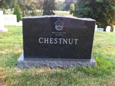 Headstone Back of Jacob Joseph Chestnut. Arlington National Cemetery.