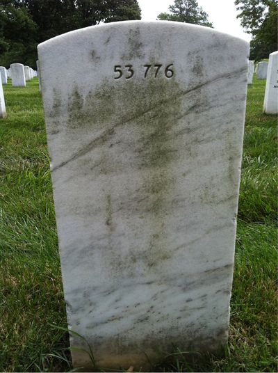 Headstone Back of Hubert Earl Sparks. Arlington National Cemetery.