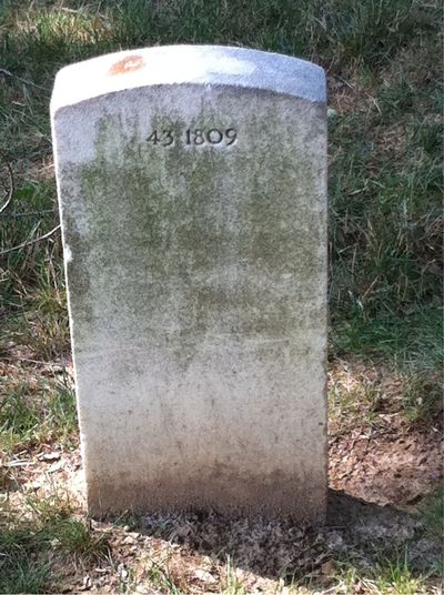 Headstone Back of Lucille Norman. Arlington National Cemetery.