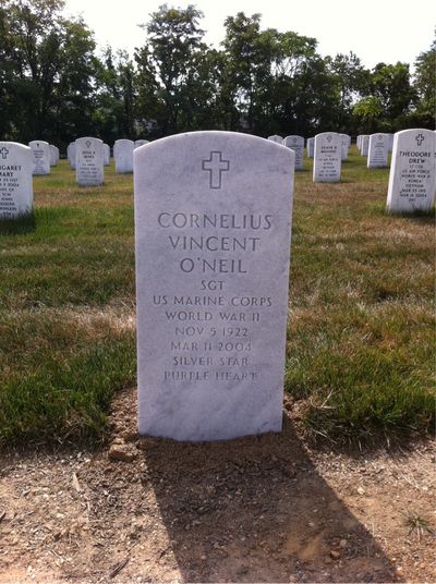 Cornelius Vincent O'Neil