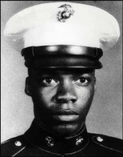 AUSTIN OSCAR PALMER - Vietnam War Veteran