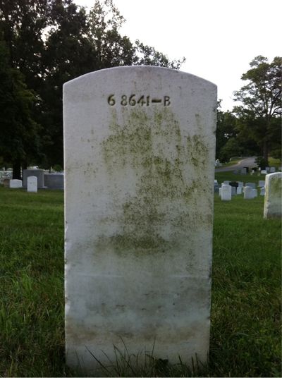 Headstone Back of Roland Daly. Arlington National Cemetery.