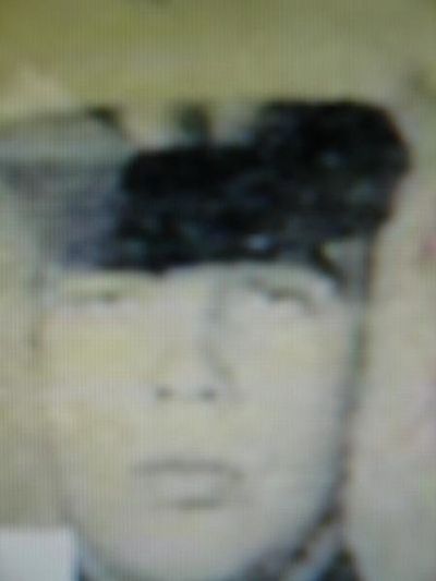 Alan Harry Shields