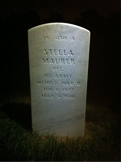 Stephen A Maurer