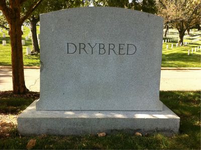 Headstone Back of Marcia Drybred. Arlington National Cemetery.