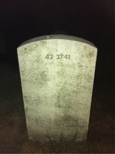 Headstone Back of James Holley. Arlington National Cemetery.