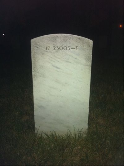 Headstone Back of Lane Limbrick. Arlington National Cemetery.