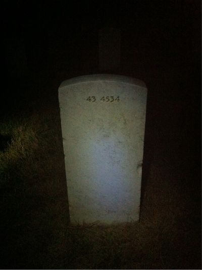 Headstone Back of Homer Hamilton. Arlington National Cemetery.