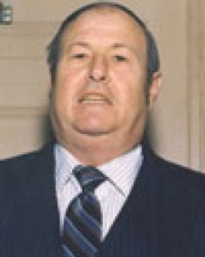 Dominic R. Verdi