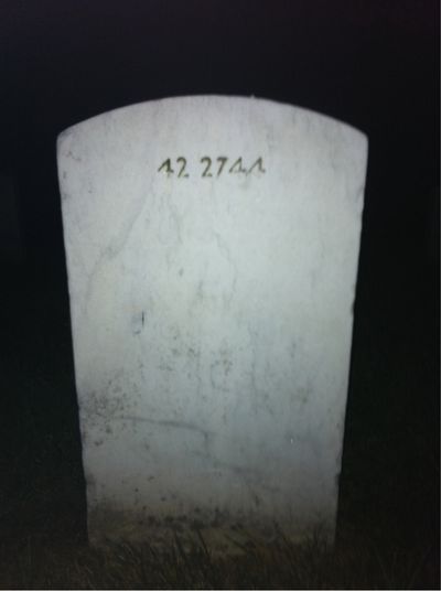 Lucious Alexander — Headstone Back