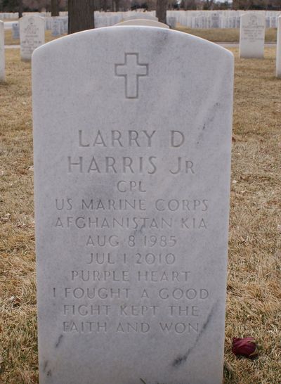 Larry D. Harris Jr.