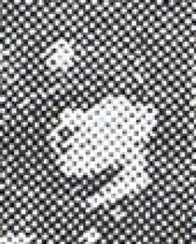 Thomas E. Dameron