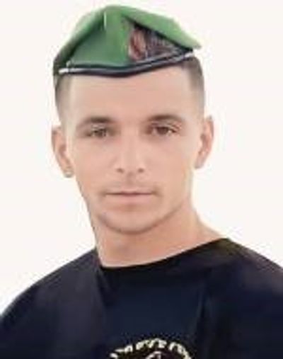 טל לוי