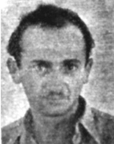 Arie Zvibel