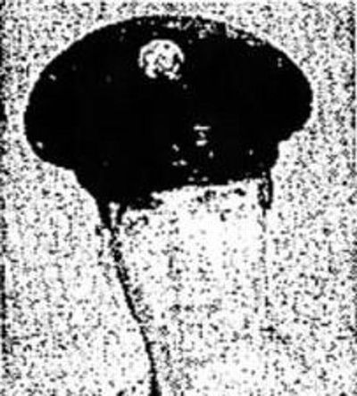 James Michael Ludwig