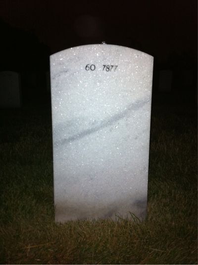 Andrew Arnold — Headstone Back