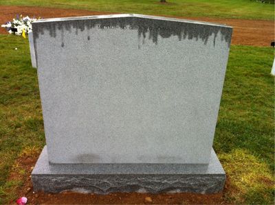 Headstone Back of Daniel Benjamin Bartle. Arlington National Cemetery.