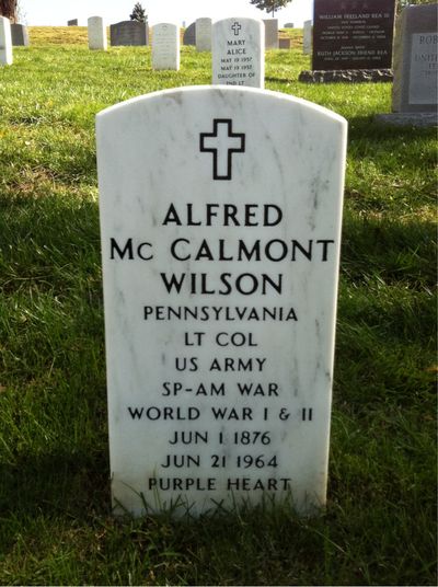 Headstone Front of Alfred Wilson. Arlington National Cemetery.