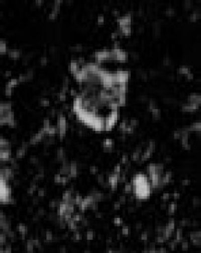 William Morgan Payton