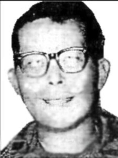 Robert M Young