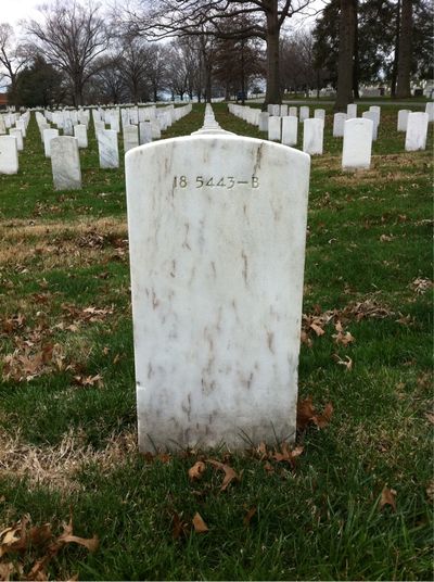 Headstone Back of Brady Lewis. Arlington National Cemetery.