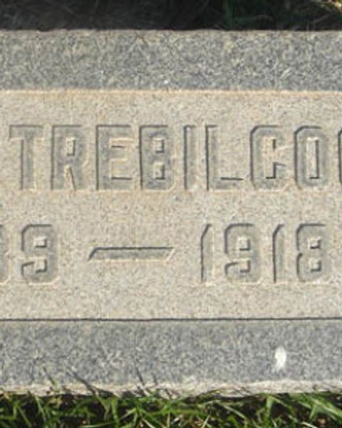Lester Earl Trebilcock